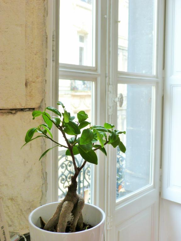 L'Appart D'Oli Et Tiane Μπορντό Δωμάτιο φωτογραφία